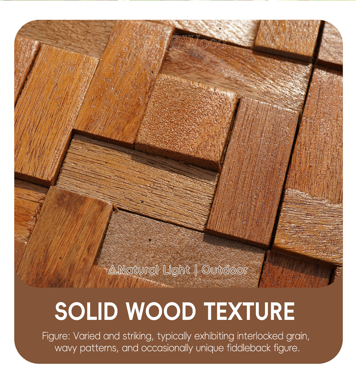 202604071775552632399629.jpg E详情P67_04.jpg