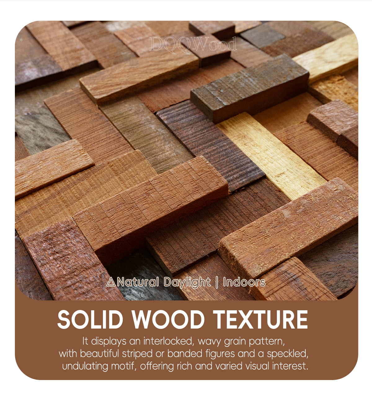 202605231779506263994139.jpg E详情HL30_04.jpg