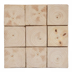 Natural Wood Feature Wall: Flat Shiplap Mosaic in Stone Cliff Pine